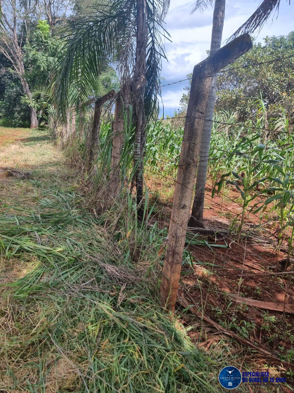 Terreno à venda, 4000m² - Foto 2