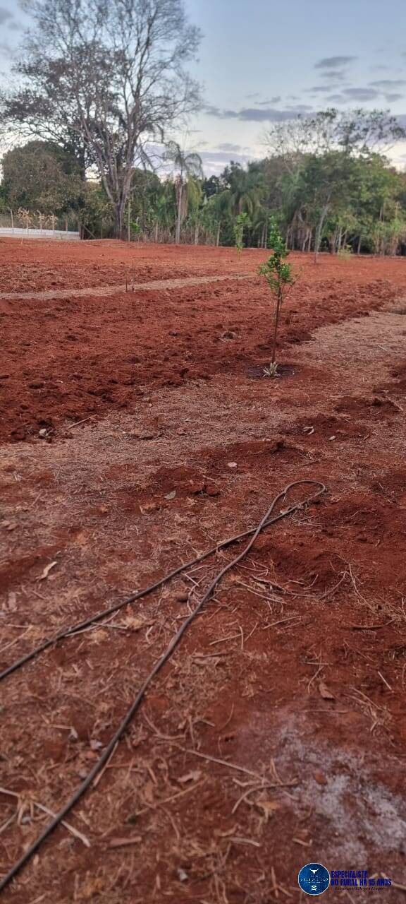 Terreno à venda, 4000m² - Foto 6