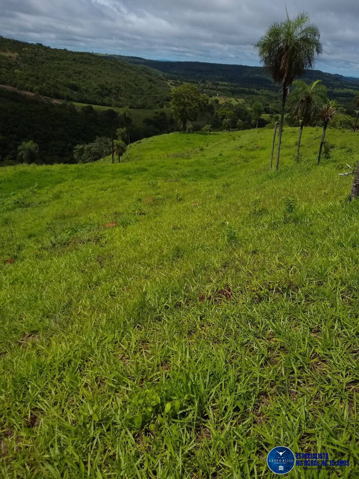 Terreno à venda, 10m² - Foto 4