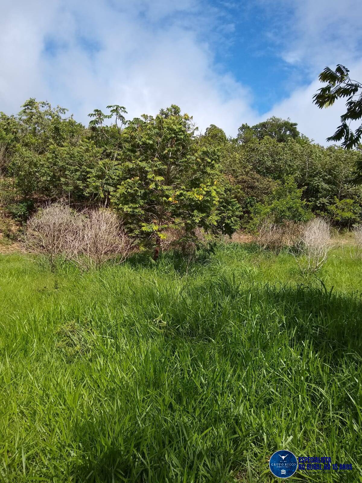 Terreno à venda, 10m² - Foto 7