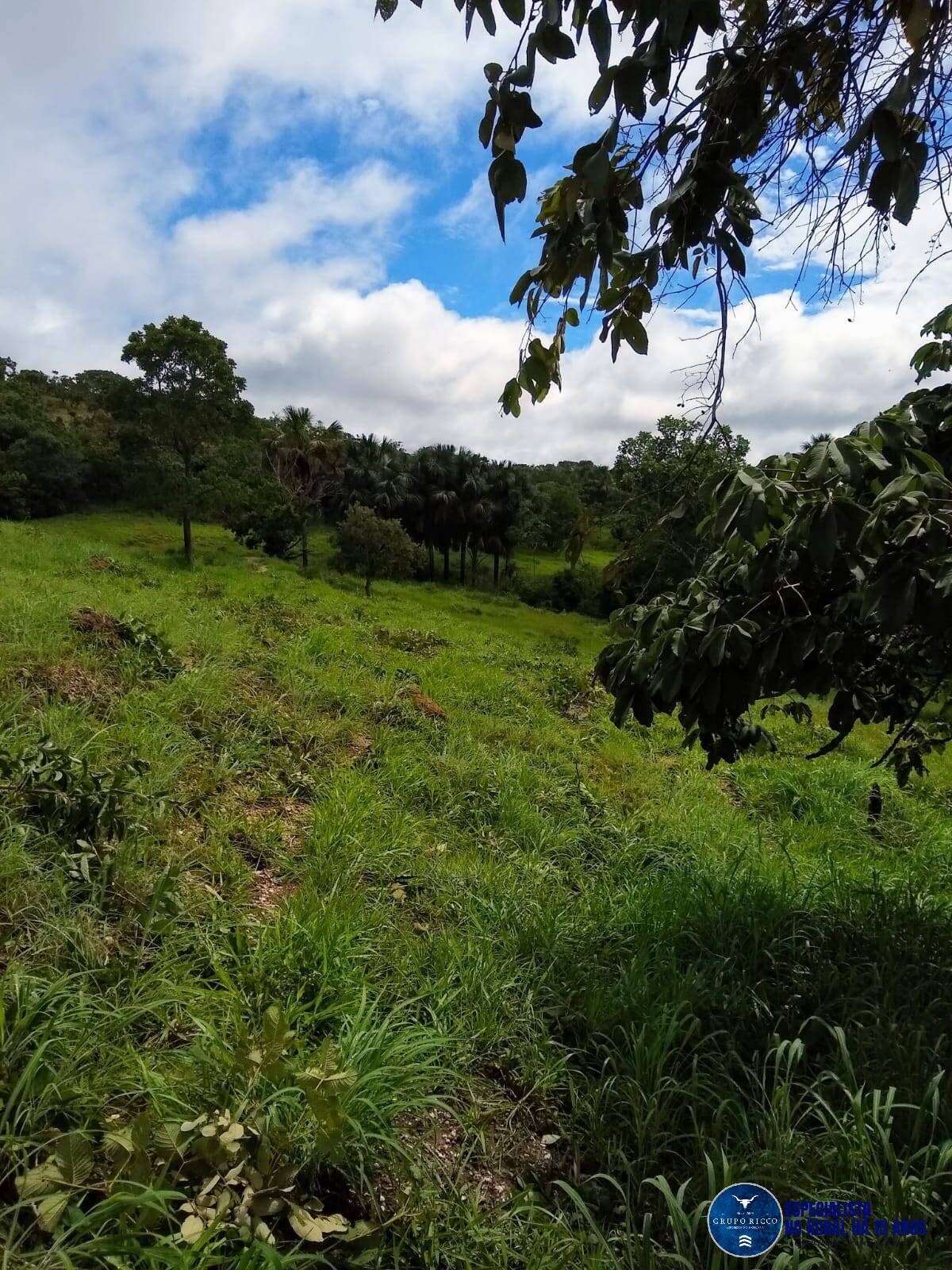 Terreno à venda, 10m² - Foto 10