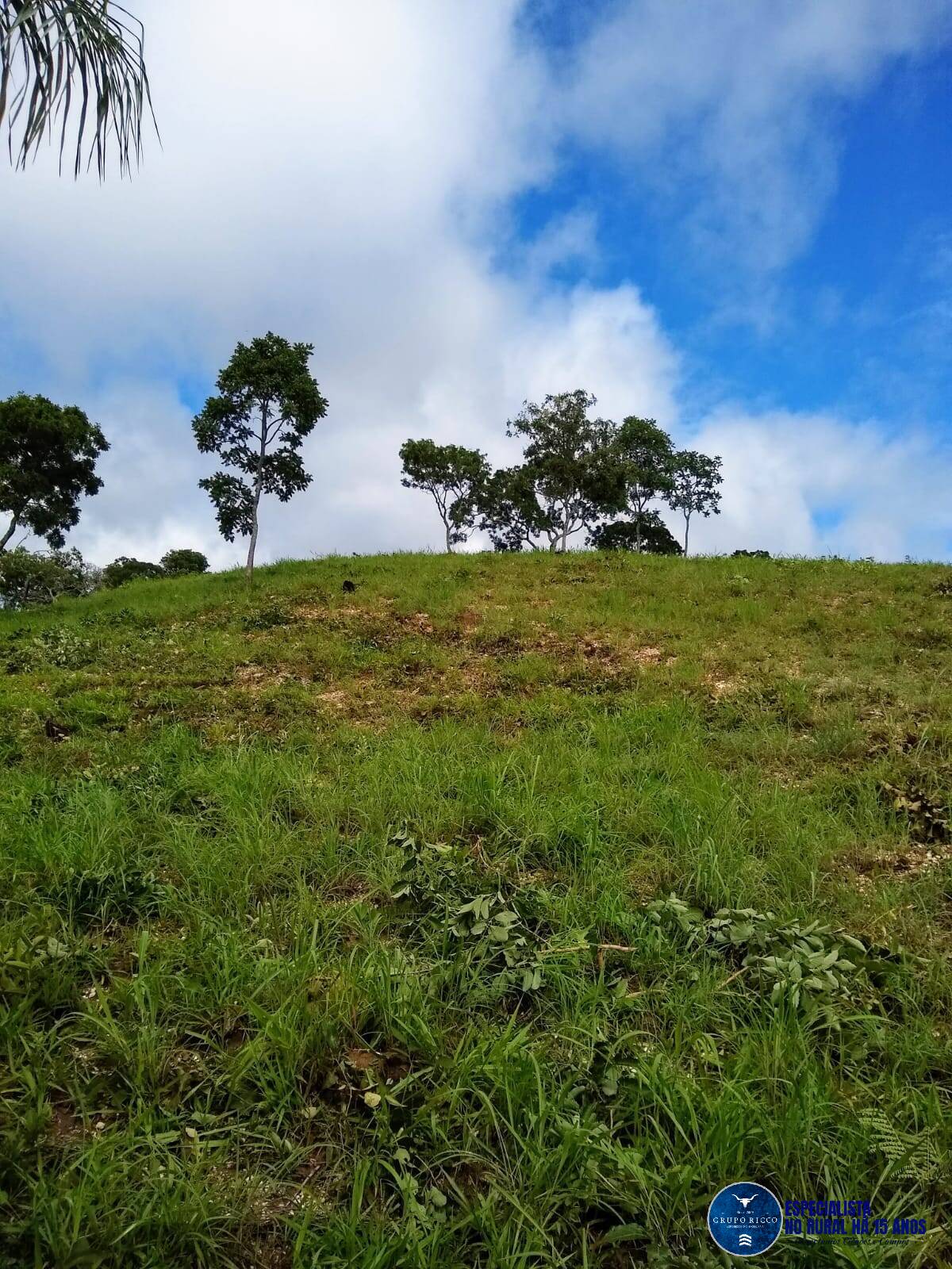 Terreno à venda, 10m² - Foto 12