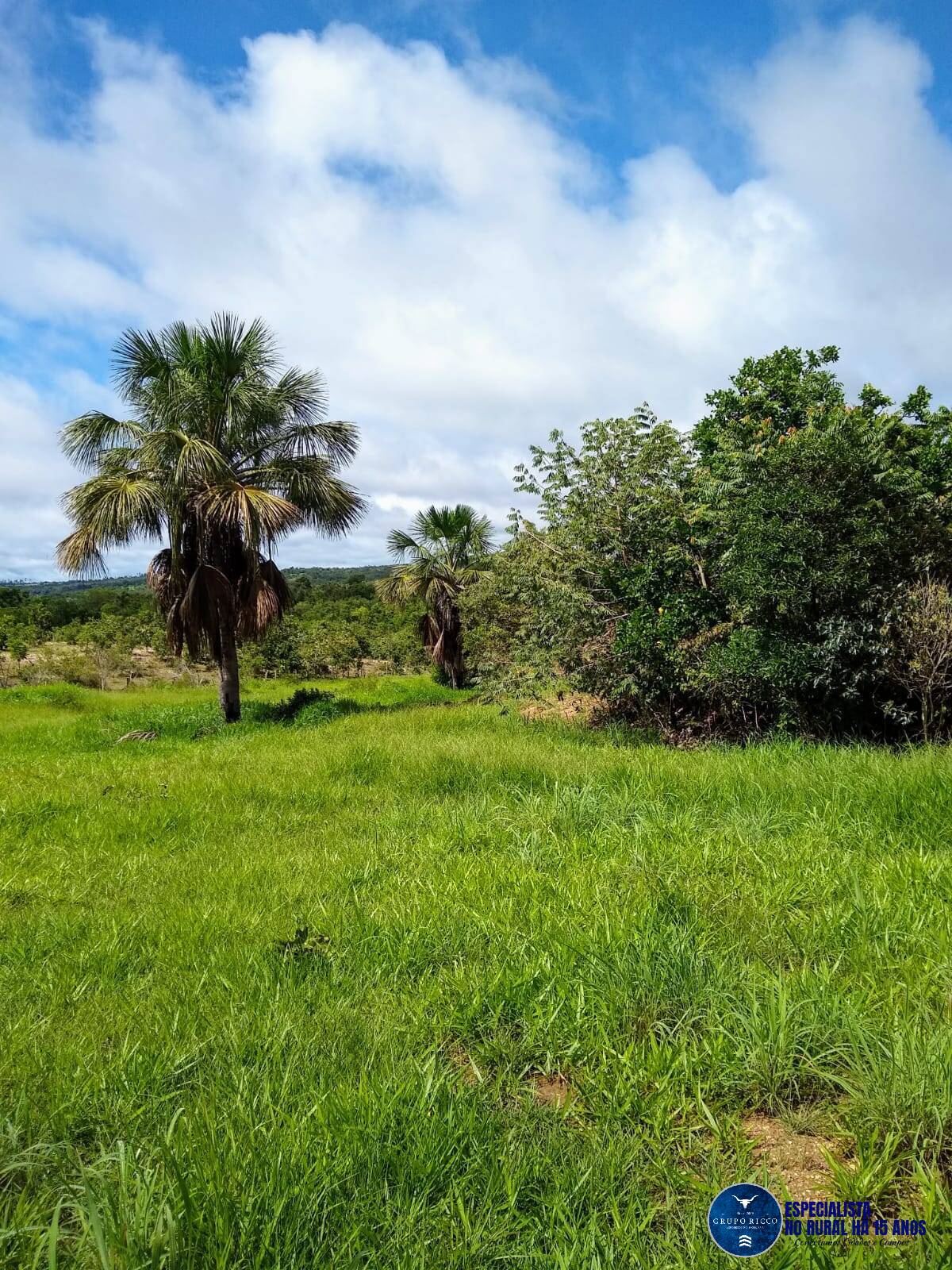 Terreno à venda, 10m² - Foto 11