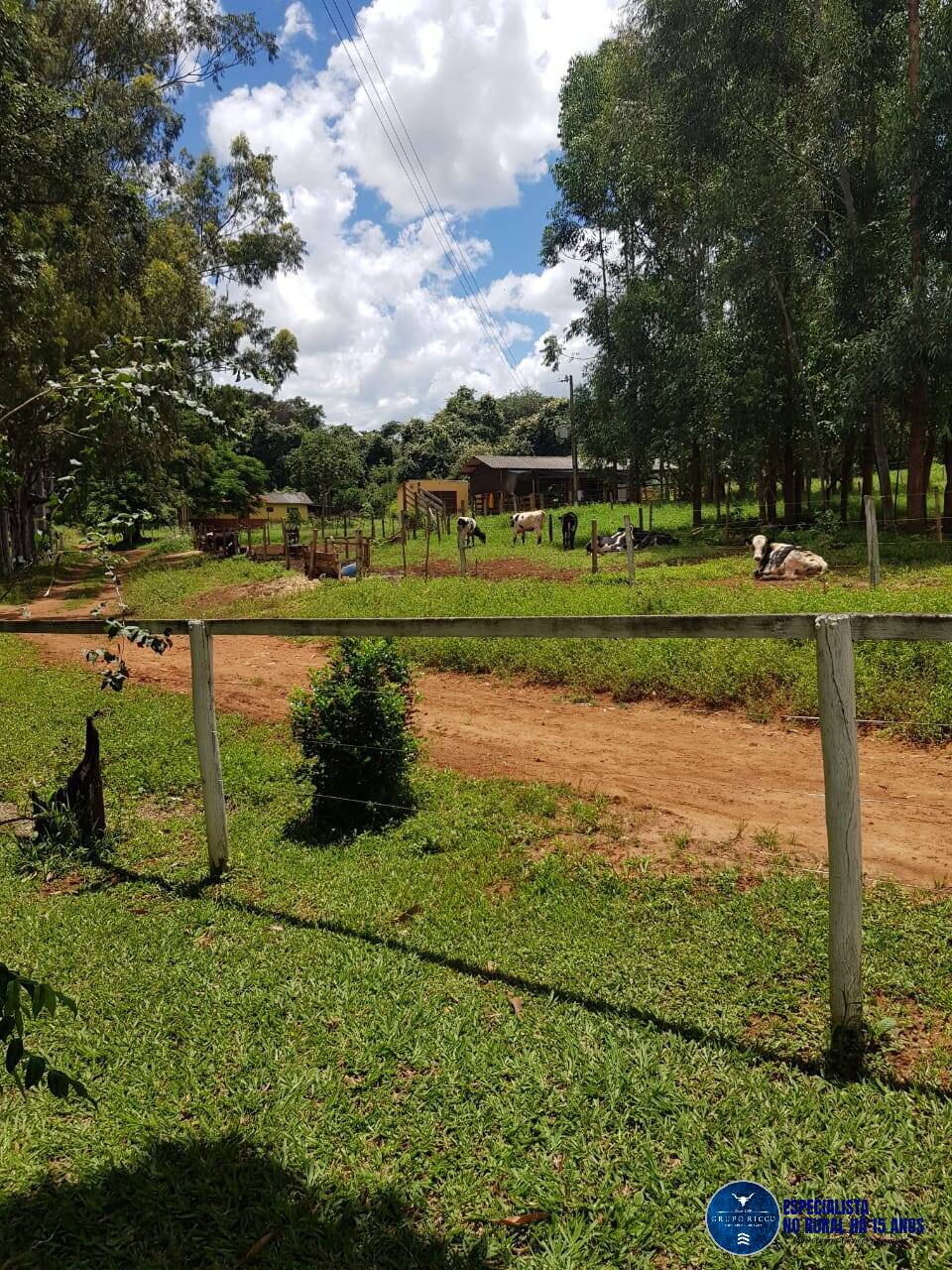 Terreno à venda, 4m² - Foto 5