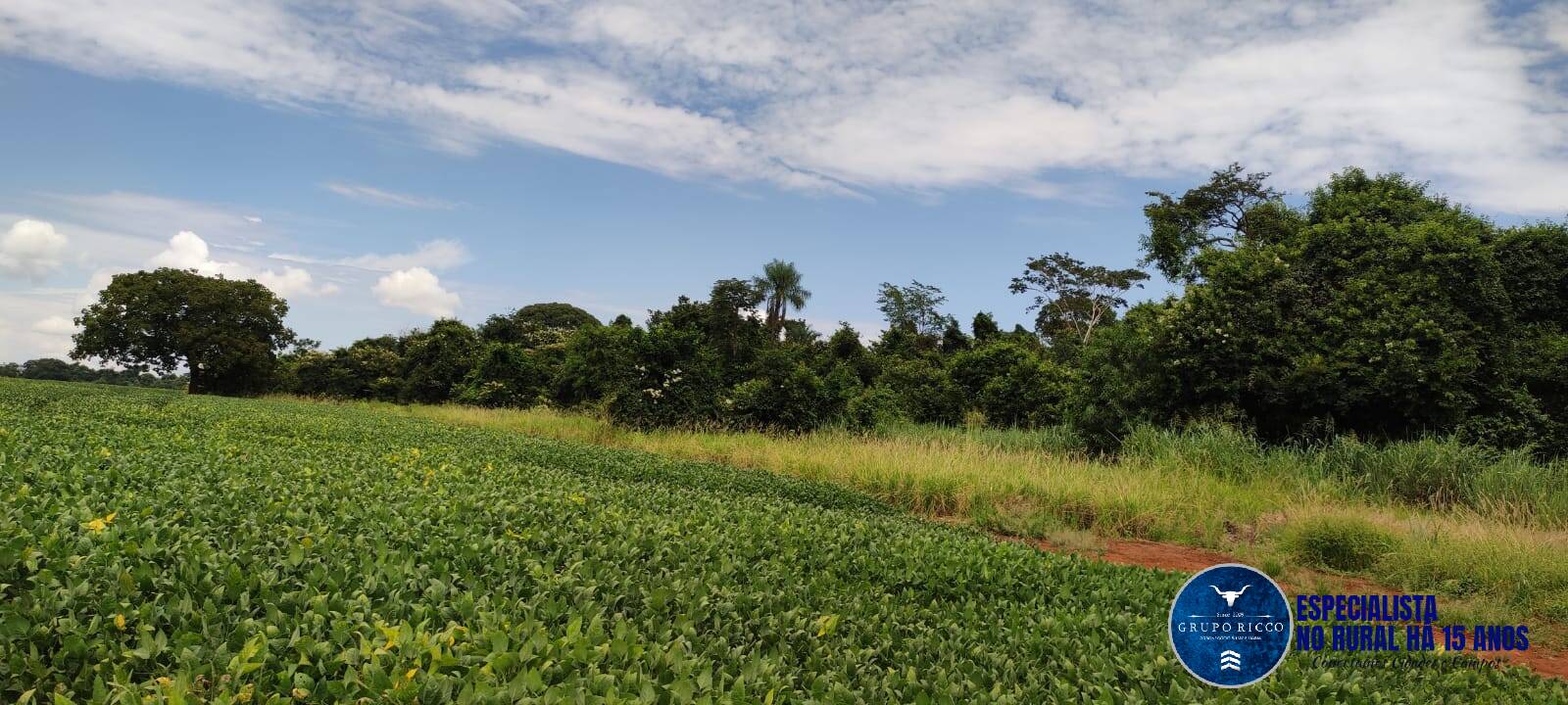 Terreno à venda, 126m² - Foto 4