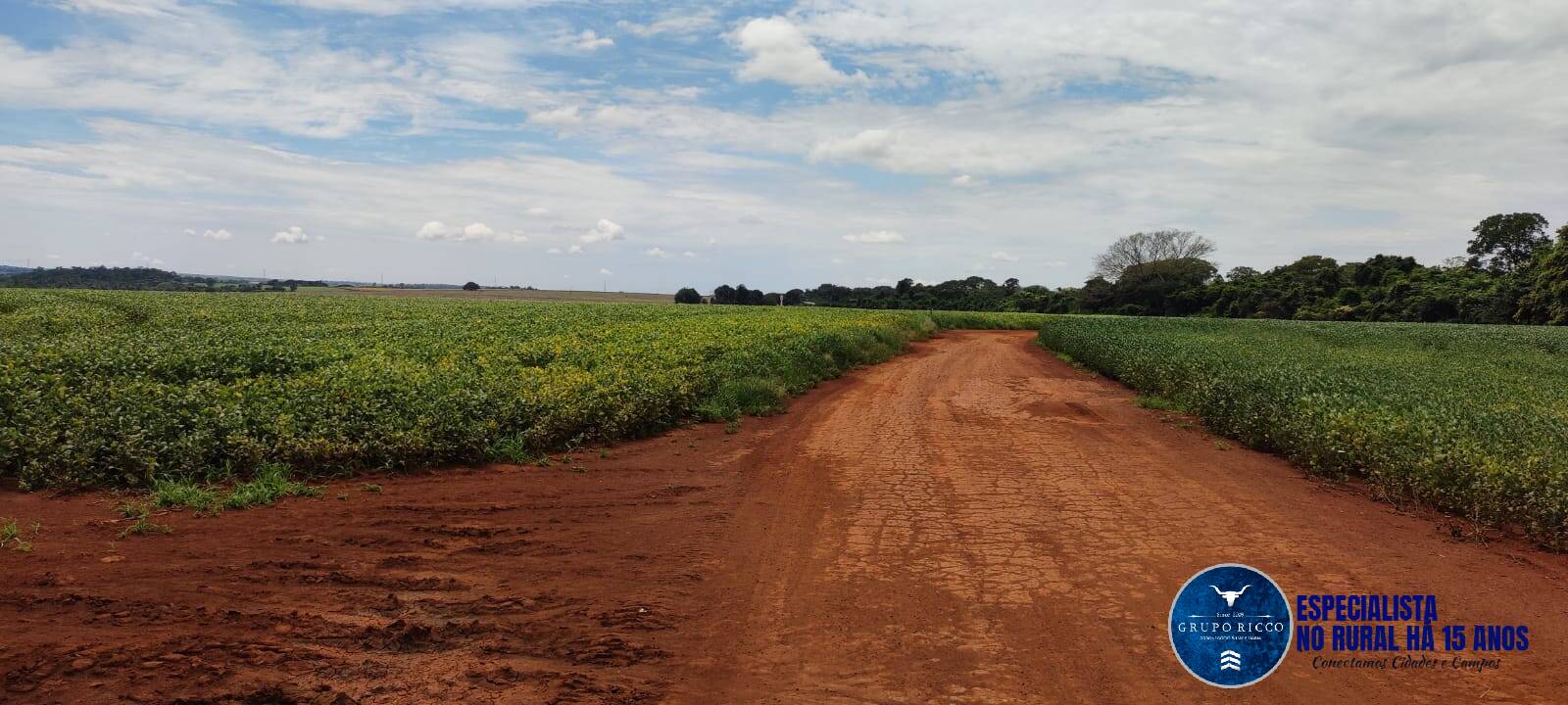 Terreno à venda, 126m² - Foto 6