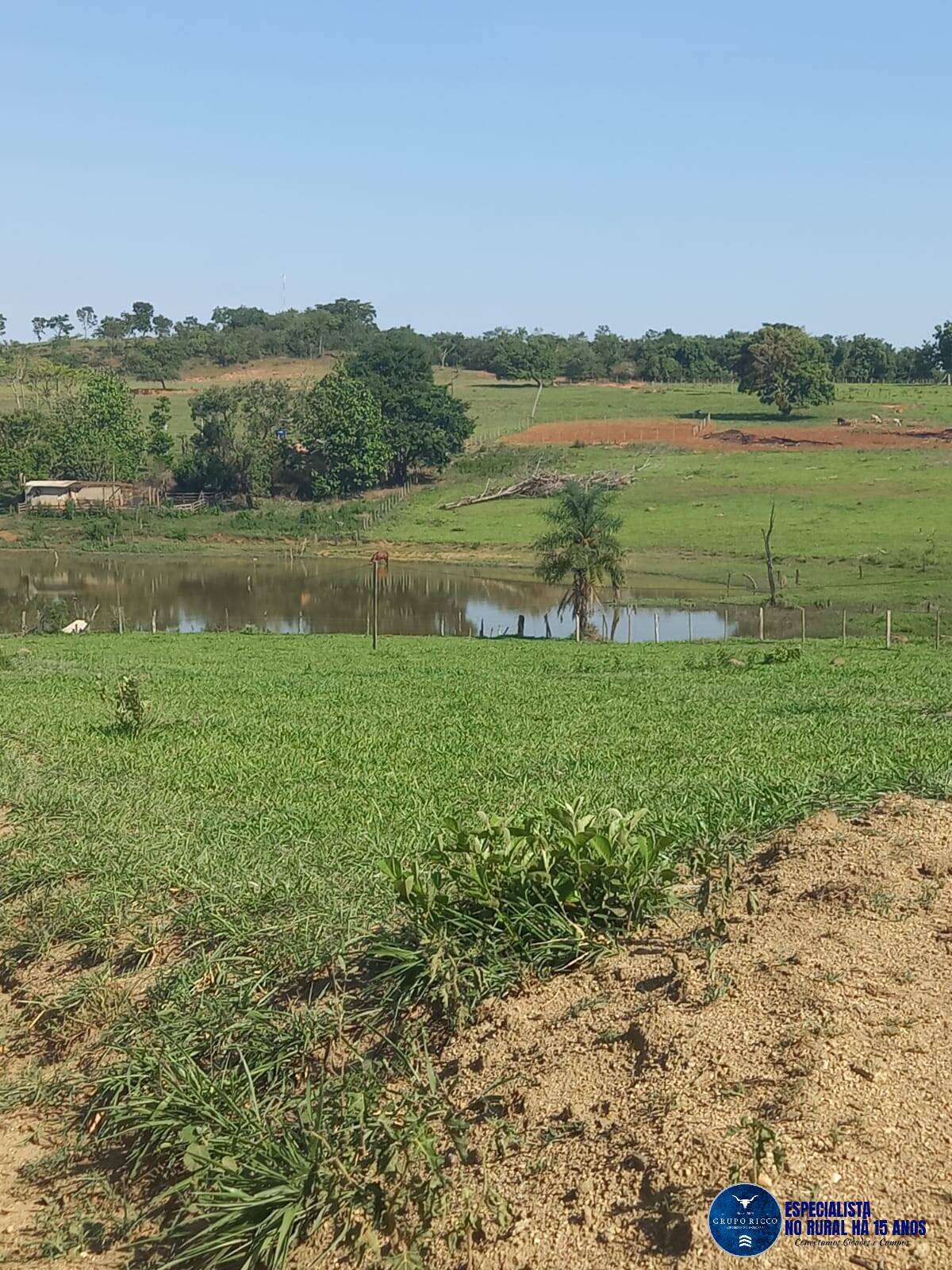 Terreno à venda, 5m² - Foto 12