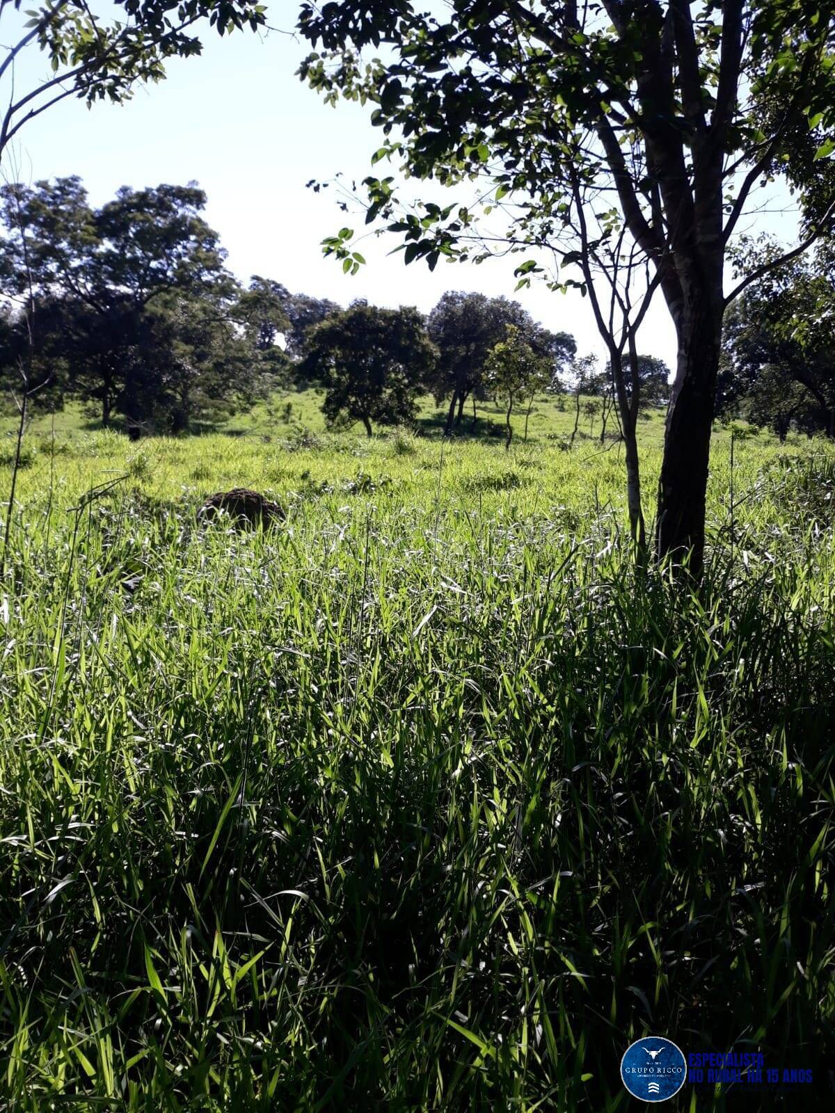 Terreno à venda, 45m² - Foto 4