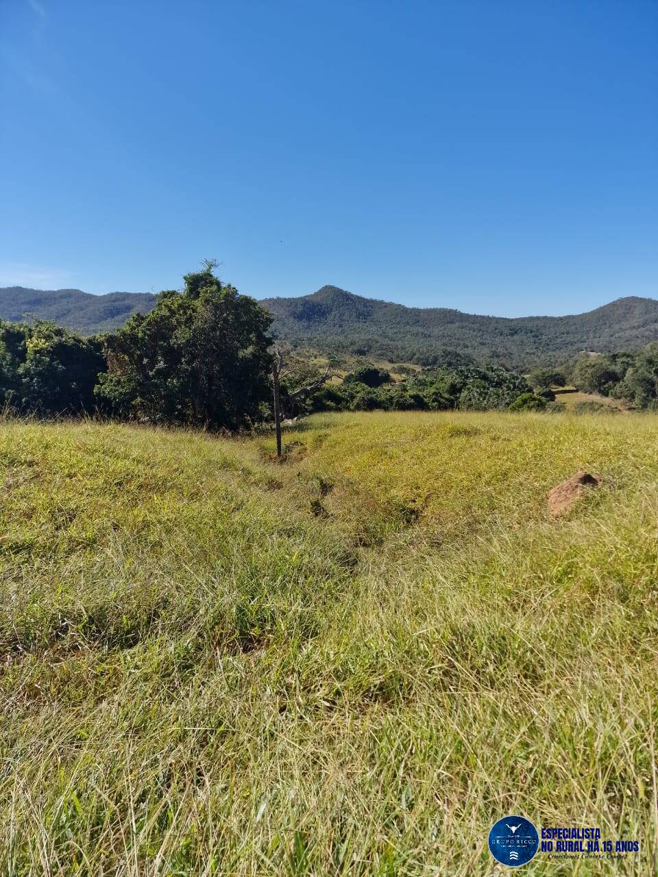 Terreno à venda, 15m² - Foto 3