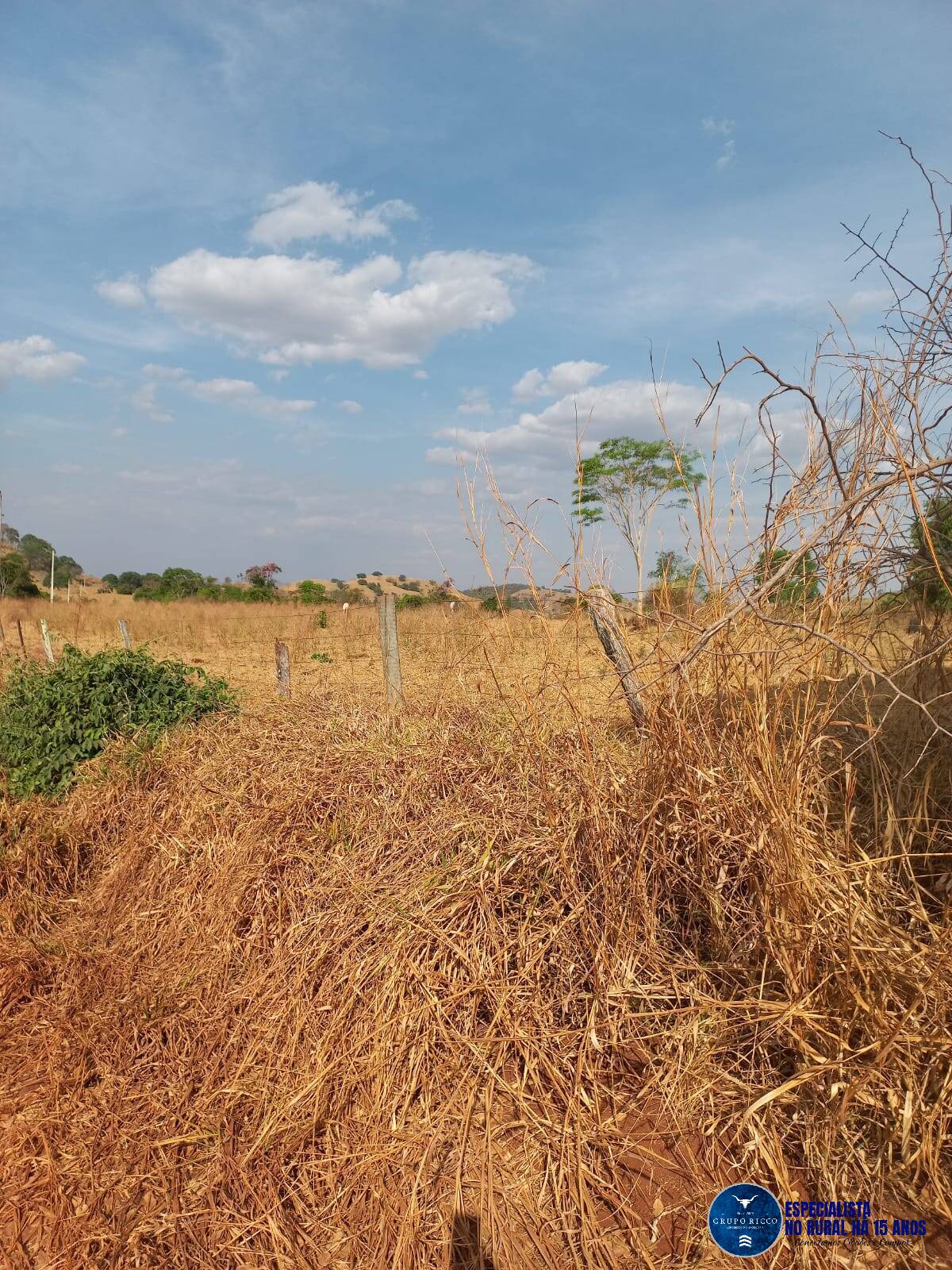 Terreno à venda, 120m² - Foto 5