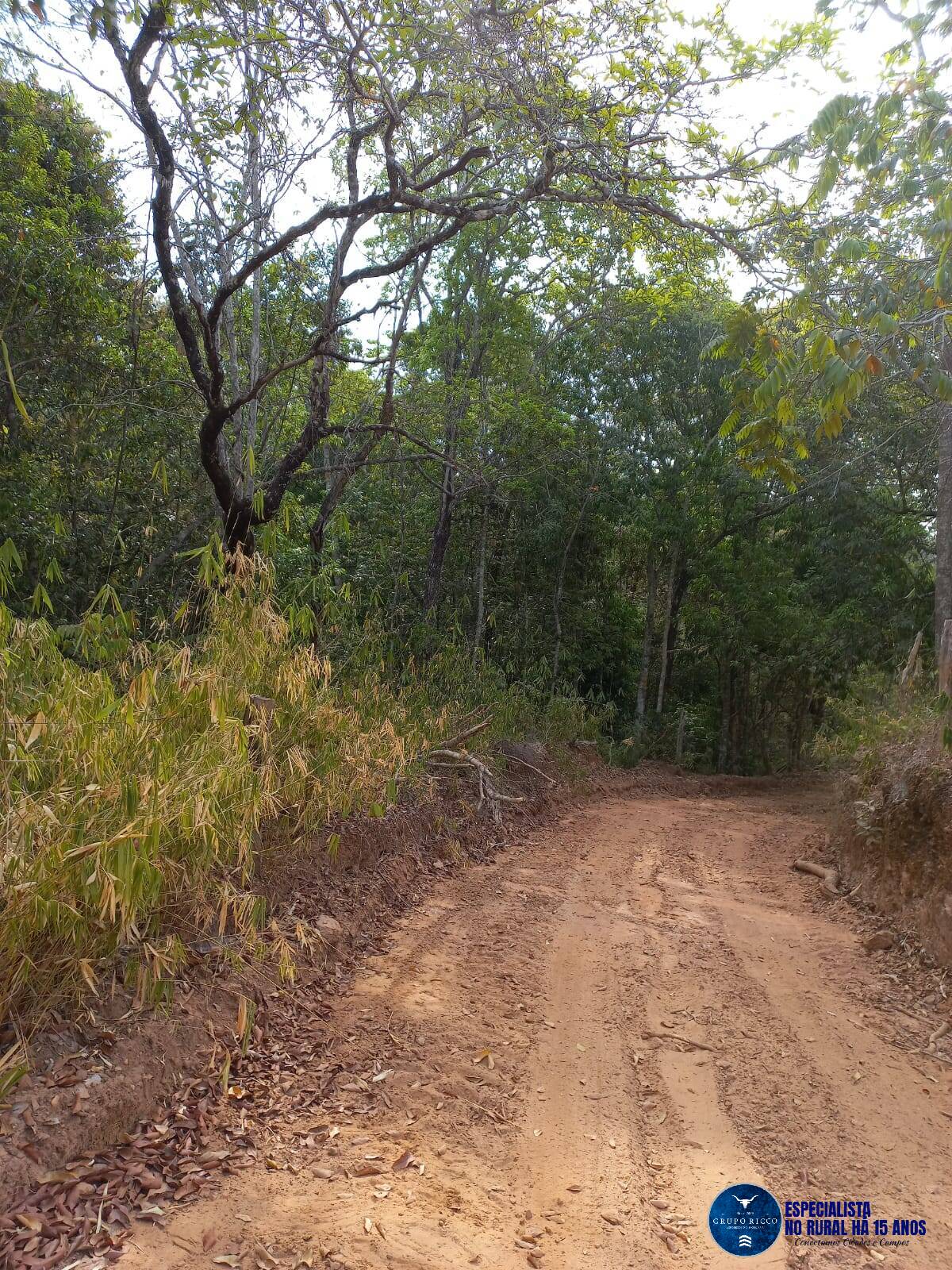 Terreno à venda, 120m² - Foto 6