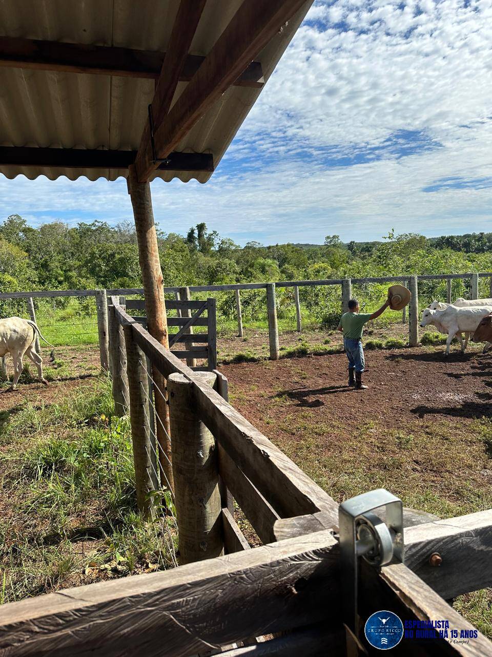 Terreno à venda, 136m² - Foto 5