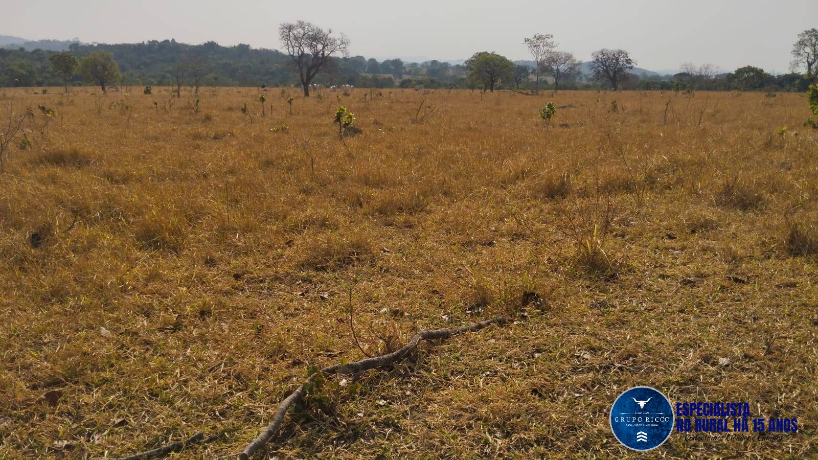 Terreno à venda, 20m² - Foto 5