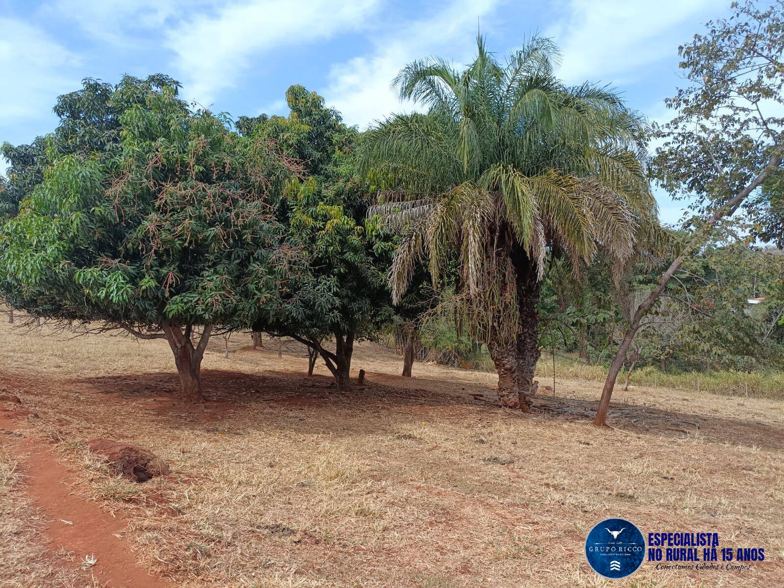 Terreno à venda, 2m² - Foto 3