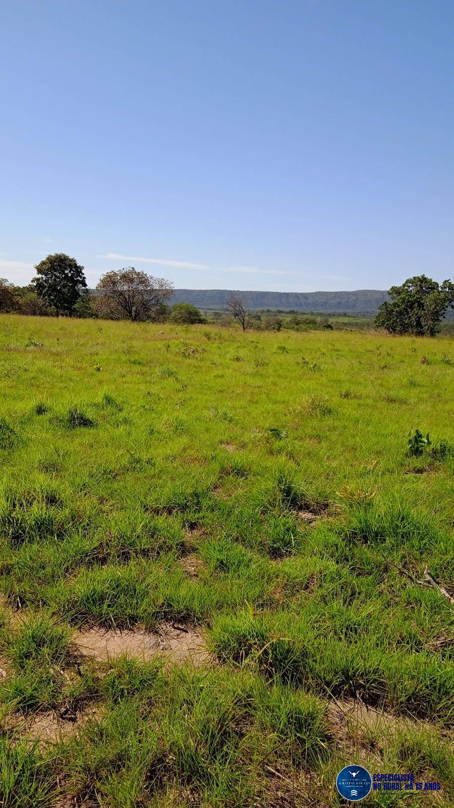 Terreno à venda, 1043m² - Foto 5