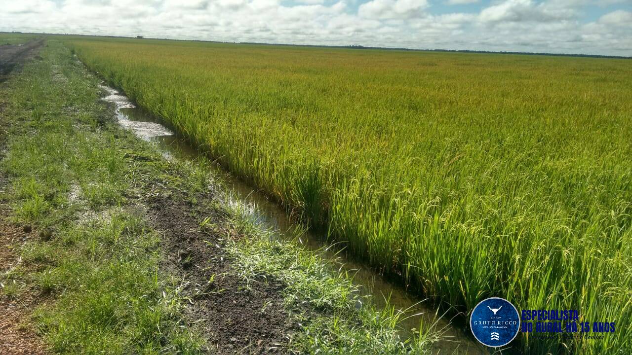 Terreno à venda, 1500m² - Foto 3