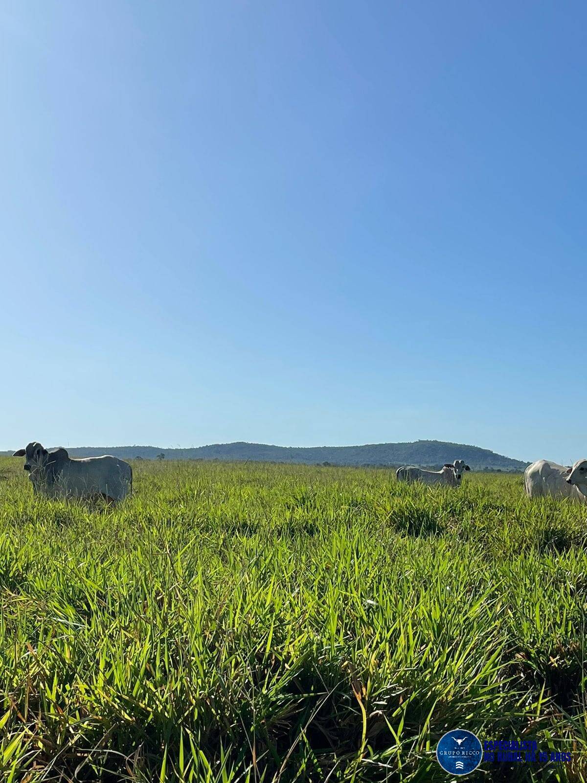 Terreno à venda, 500m² - Foto 3