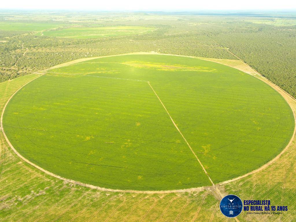 Terreno à venda, 500m² - Foto 6