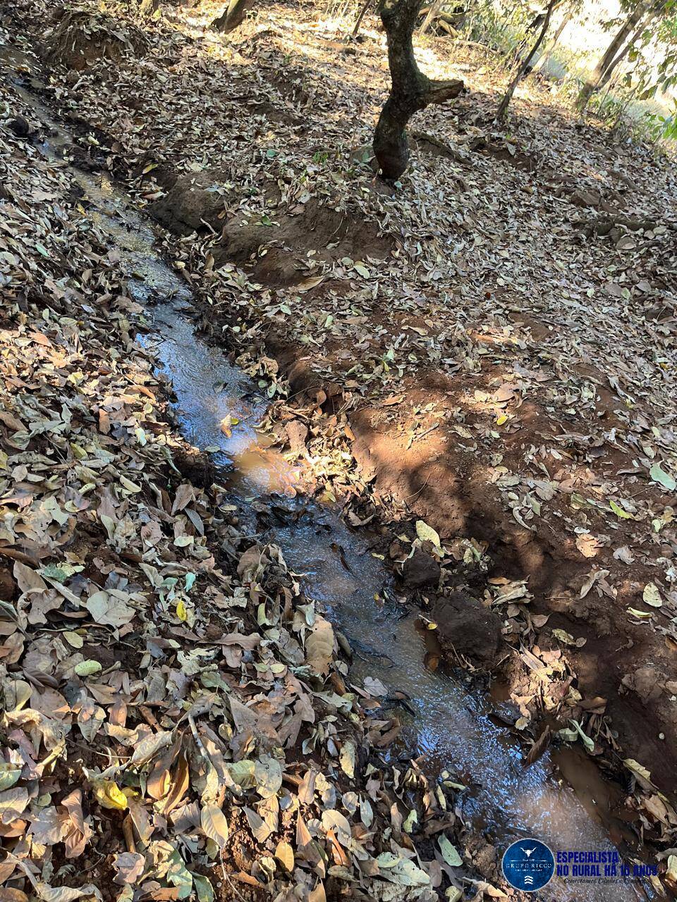 Terreno à venda, 3m² - Foto 6