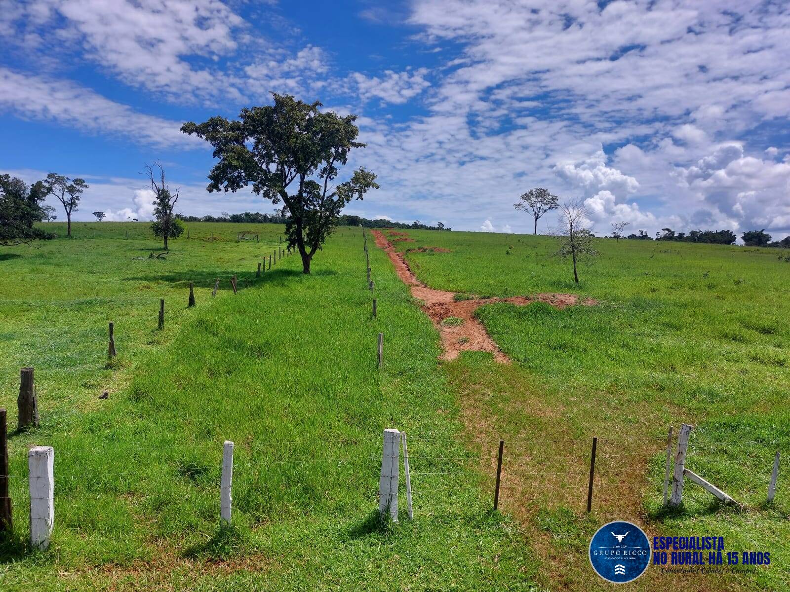 Terreno à venda, 41m² - Foto 6