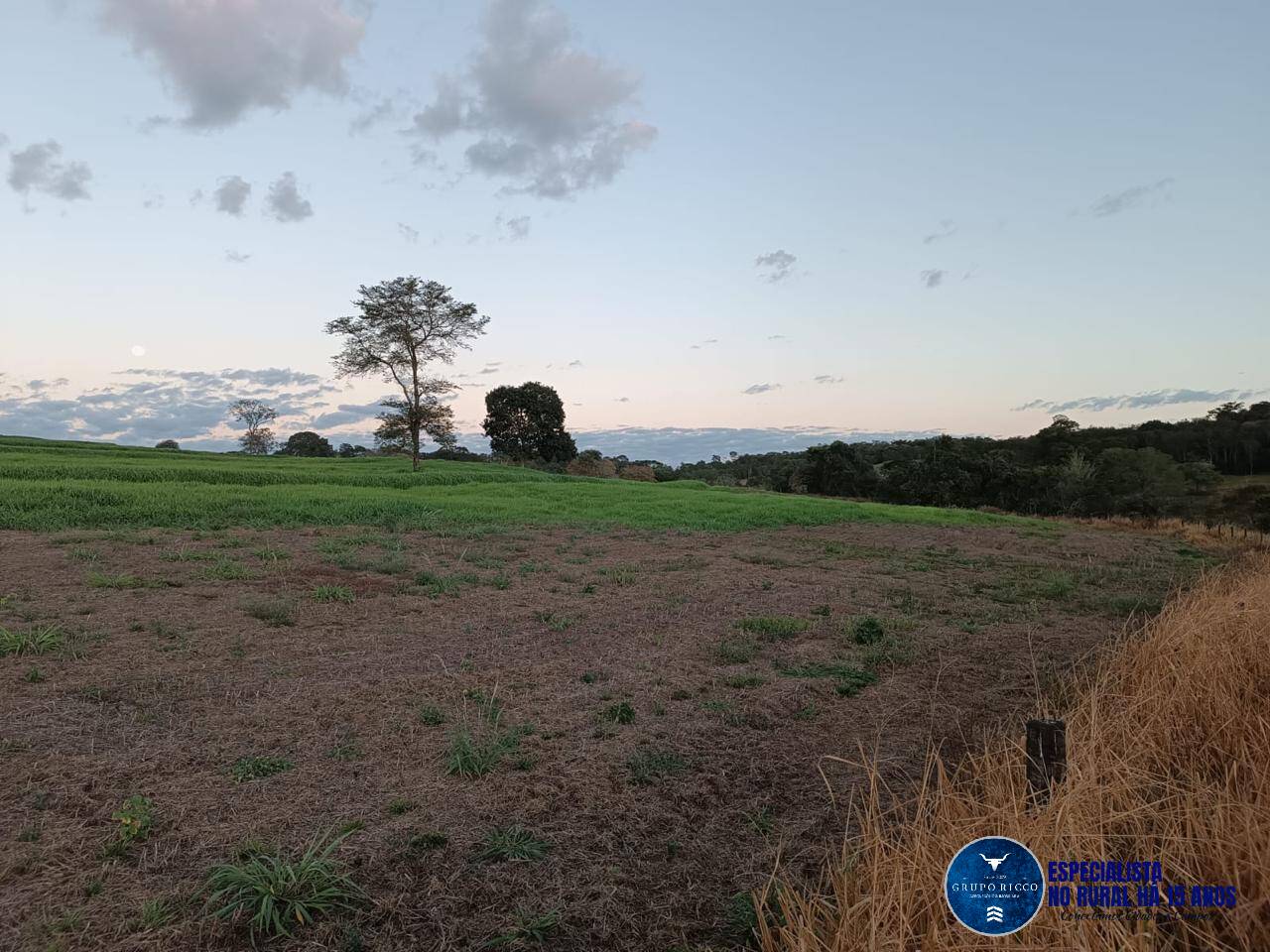 Terreno à venda, 20m² - Foto 5