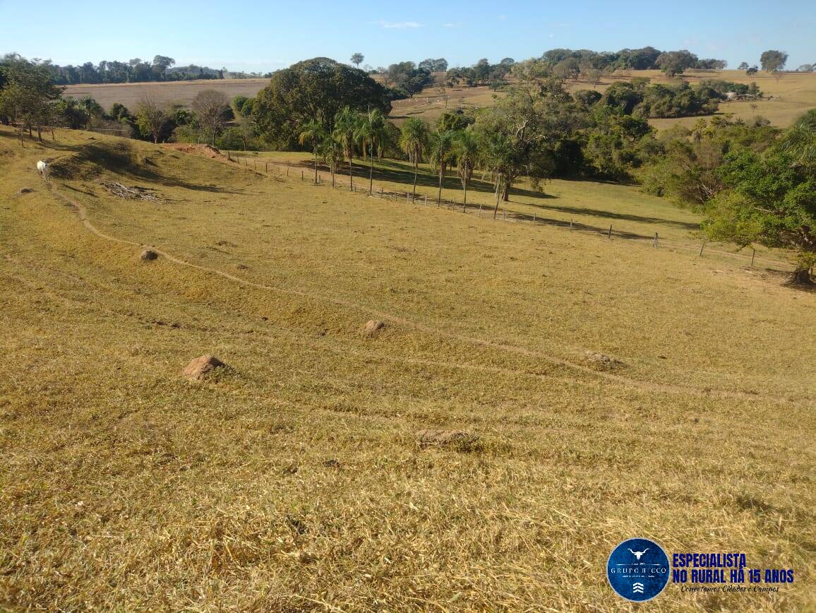 Terreno à venda, 24m² - Foto 3