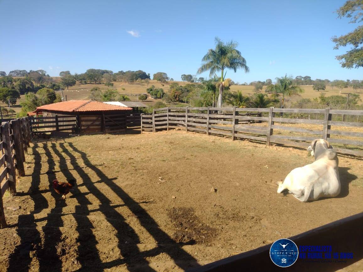 Terreno à venda, 24m² - Foto 8