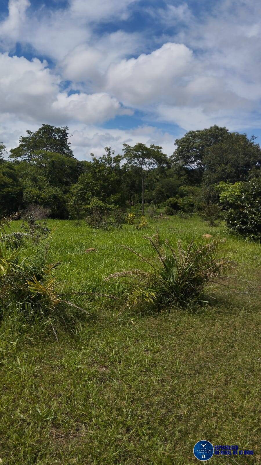 Terreno à venda, 59m² - Foto 6