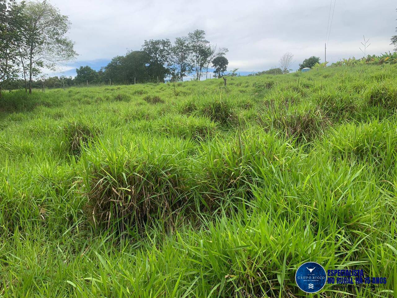 Terreno à venda, 3m² - Foto 12