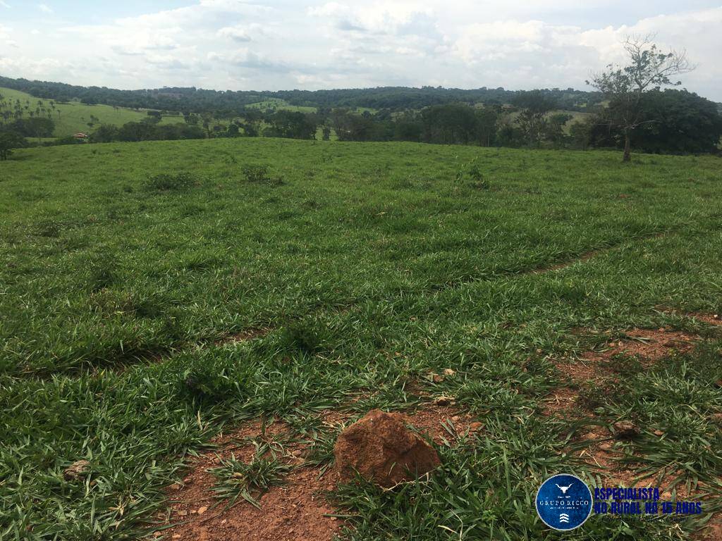 Terreno à venda, 24m² - Foto 6