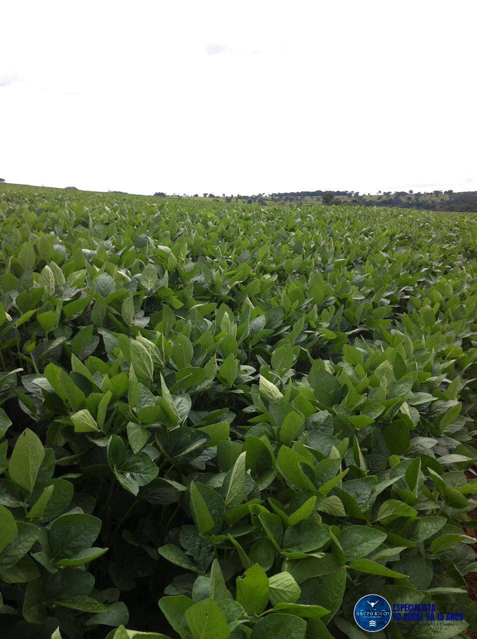 Terreno à venda, 80m² - Foto 3