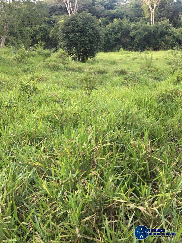 Terreno à venda, 1m² - Foto 3