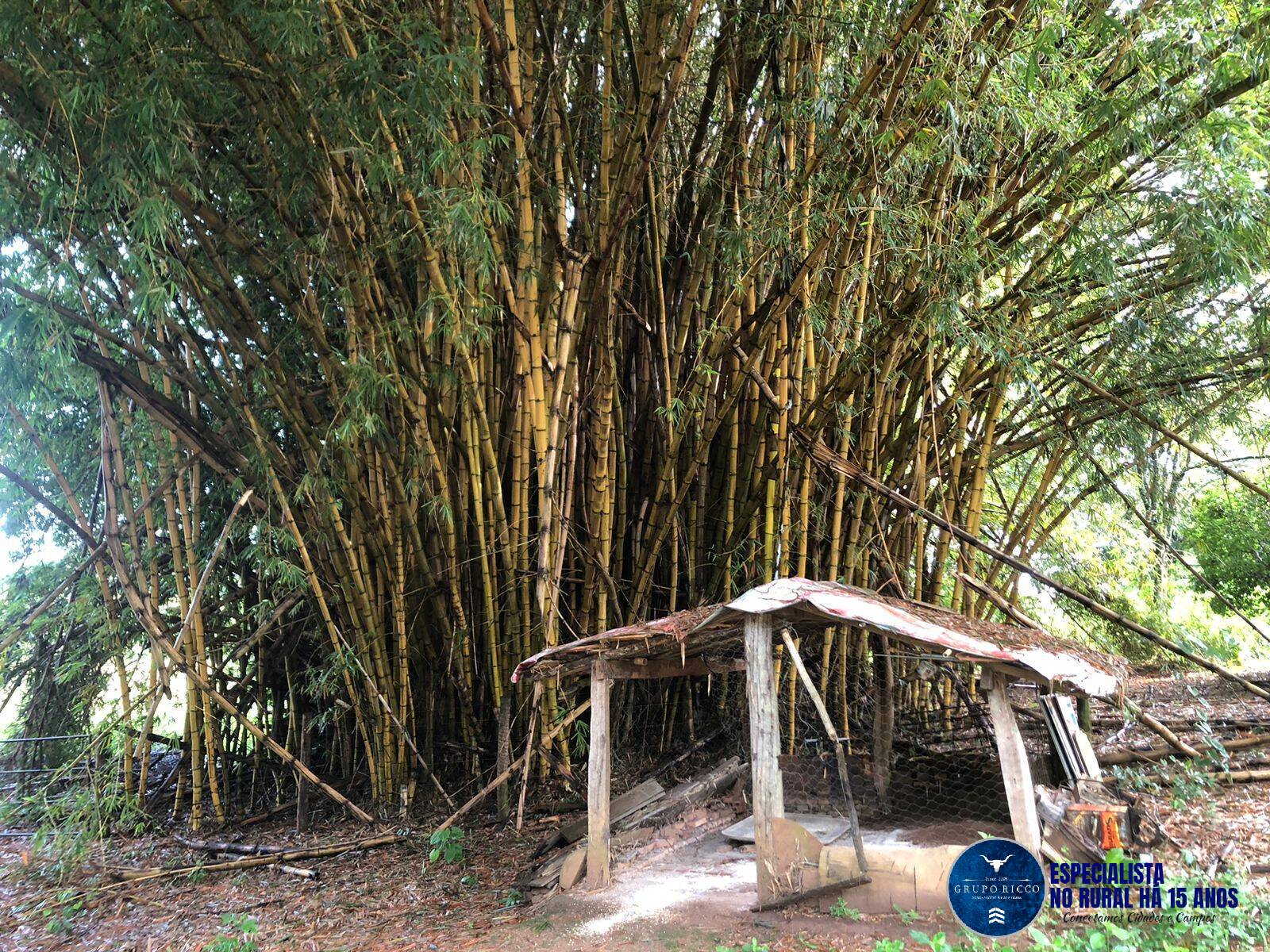 Terreno à venda, 1m² - Foto 8