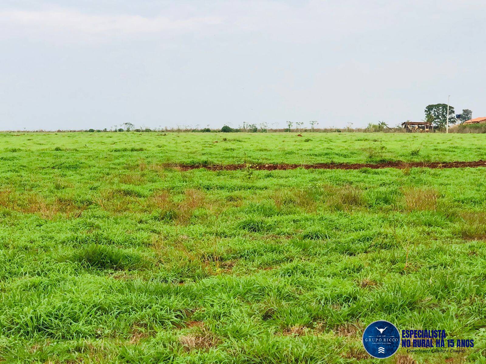 Terreno à venda, 5m² - Foto 13