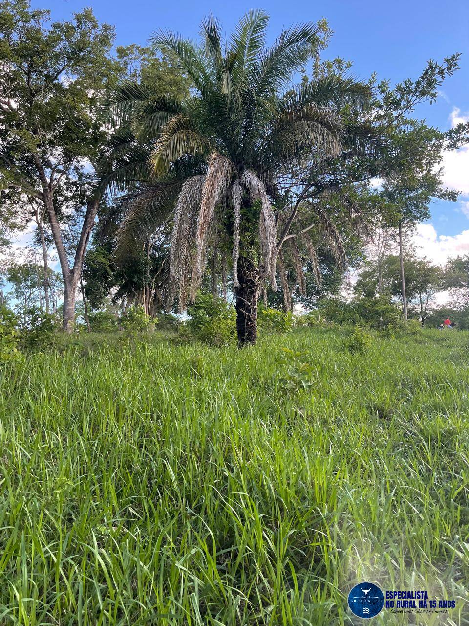 Terreno à venda, 27m² - Foto 4