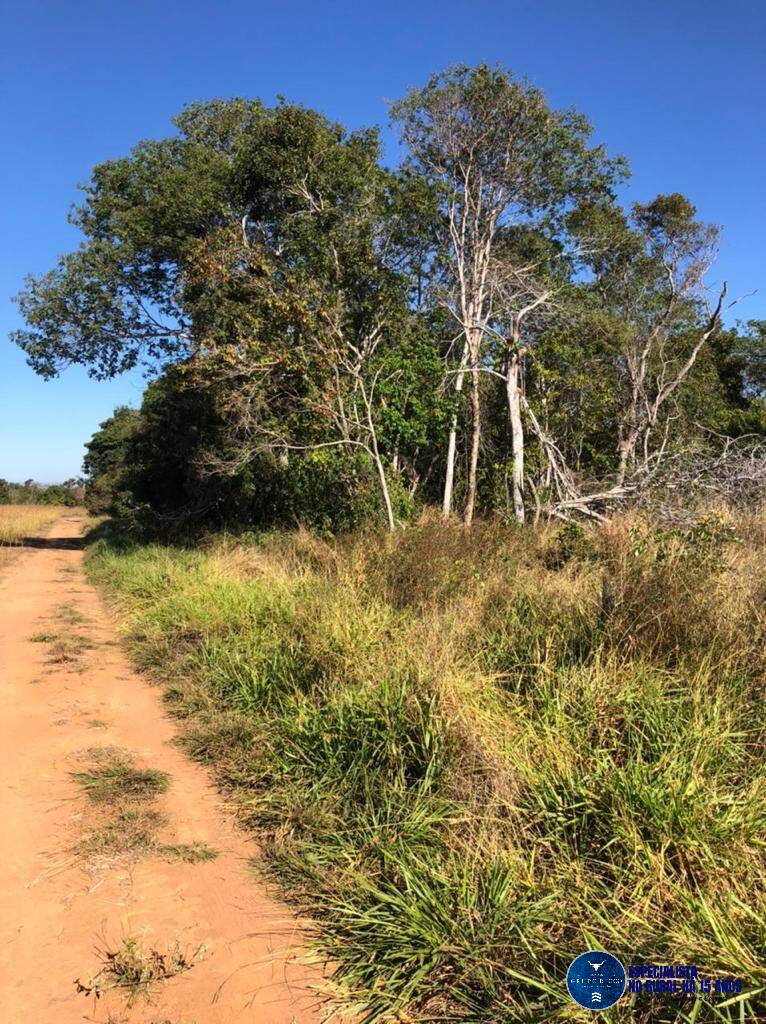 Terreno à venda, 12m² - Foto 8