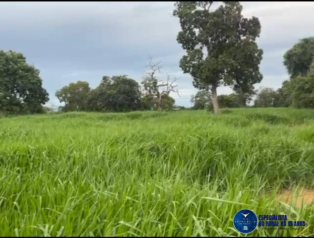 Terreno à venda, 8m² - Foto 4