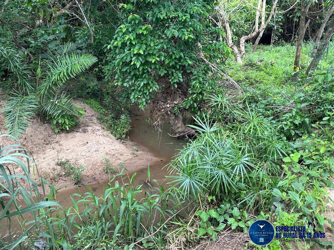 Terreno à venda, 2m² - Foto 12