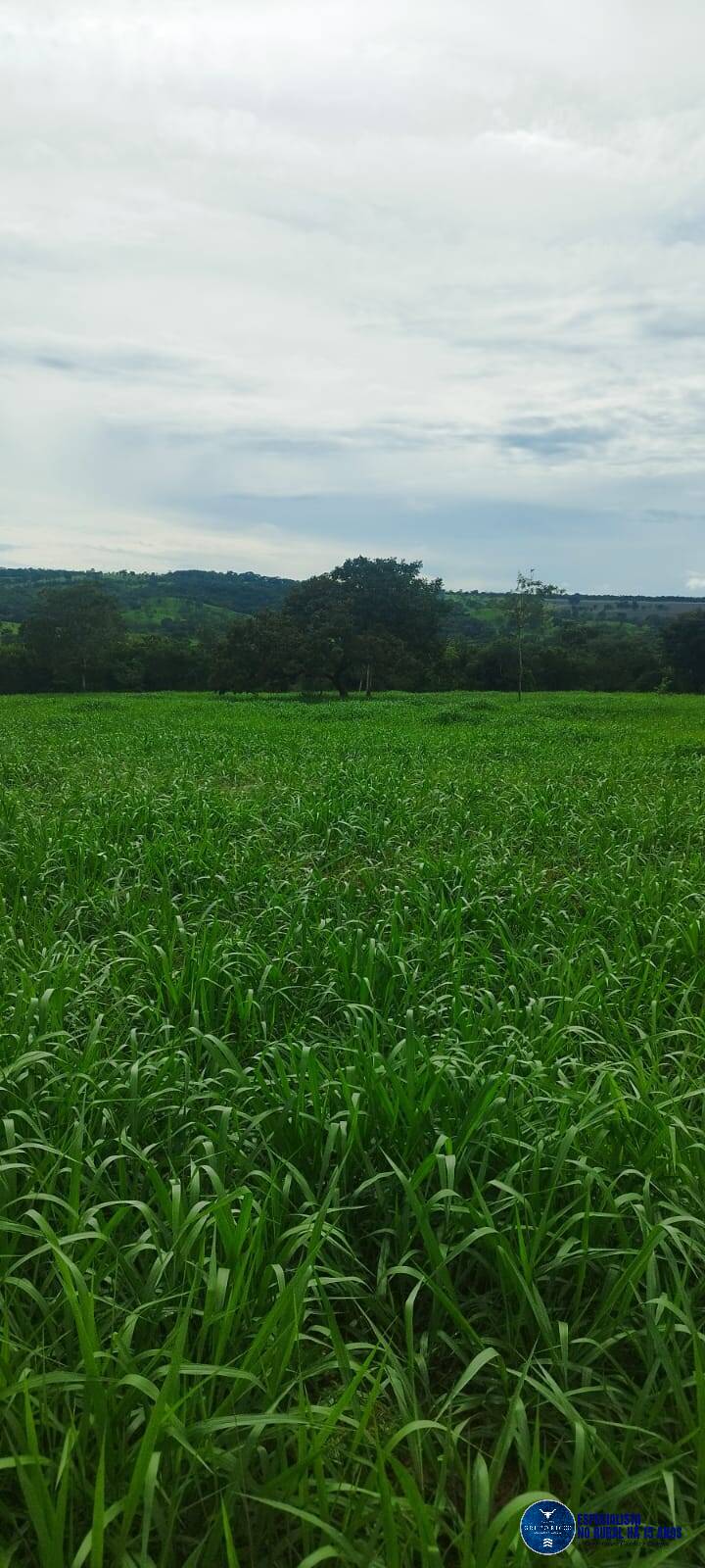 Terreno à venda, 8m² - Foto 4