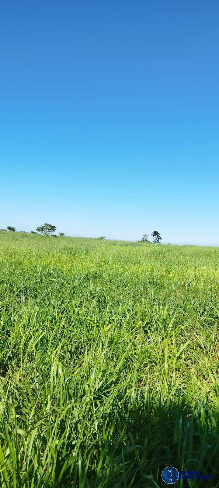 Terreno à venda, 8m² - Foto 5