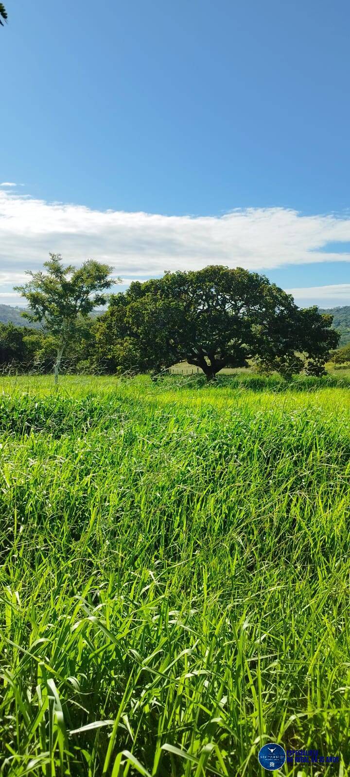 Terreno à venda, 8m² - Foto 8