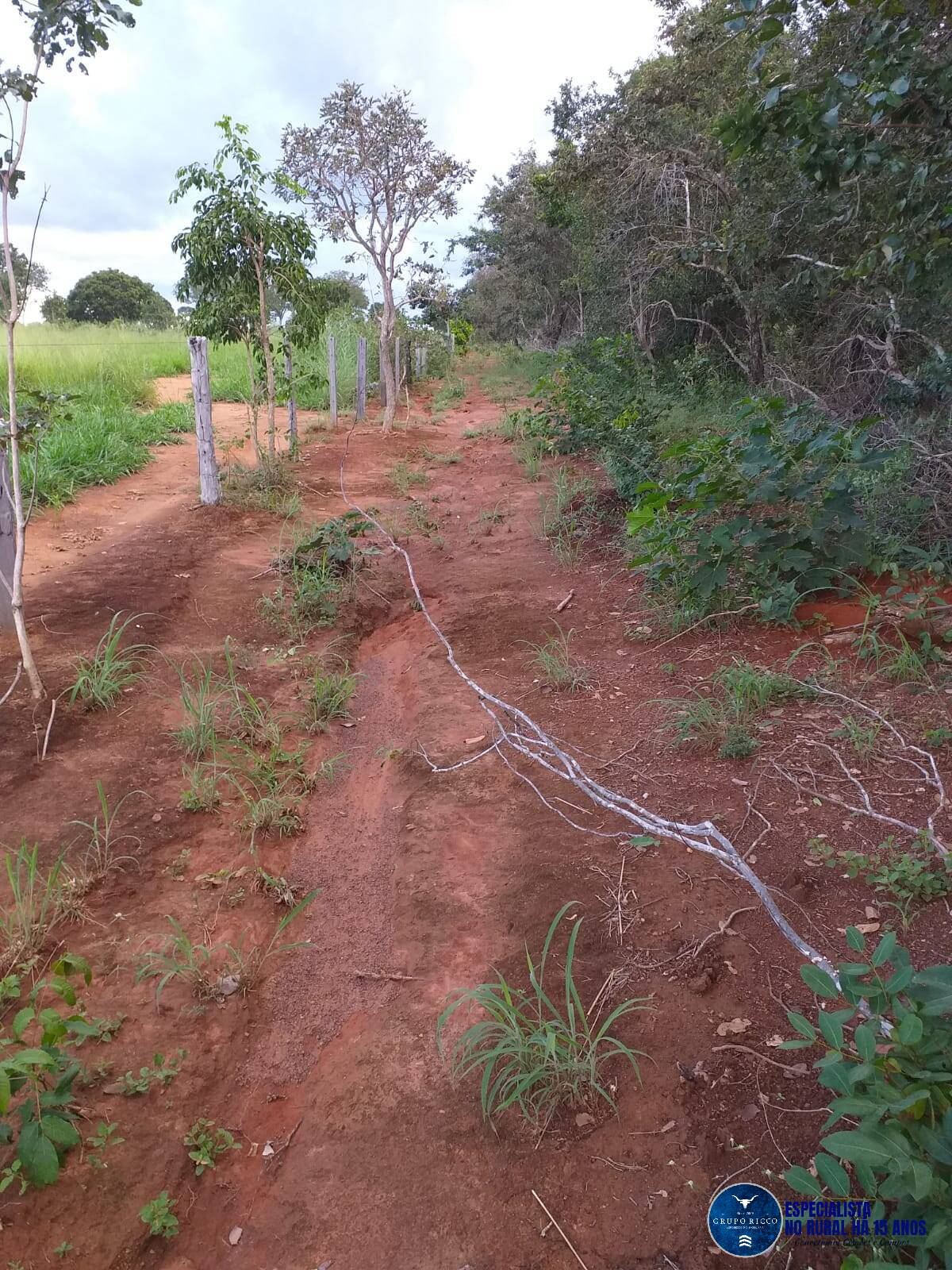 Terreno à venda, 44m² - Foto 6