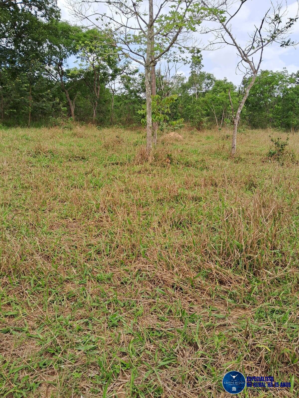 Terreno à venda, 7m² - Foto 1