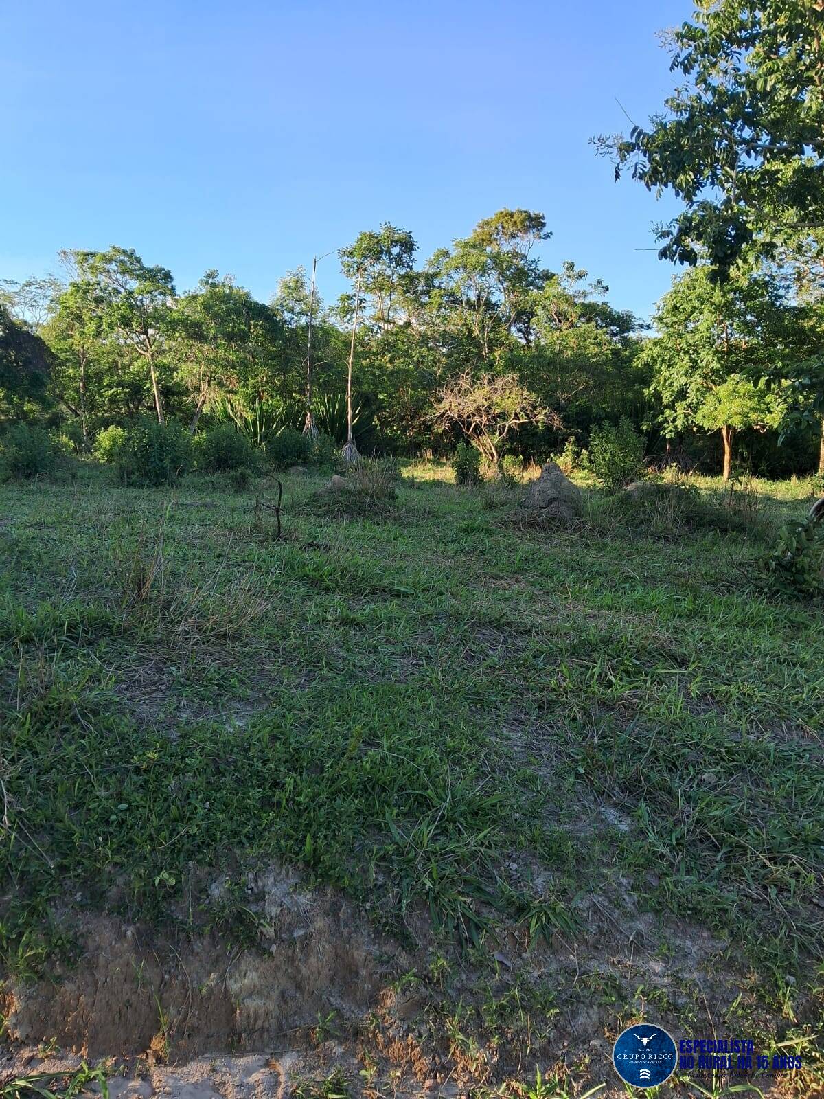 Terreno à venda, 7m² - Foto 4