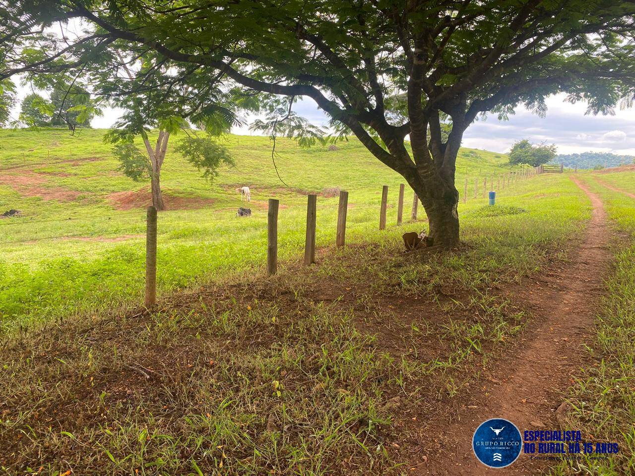 Terreno à venda, 6m² - Foto 10