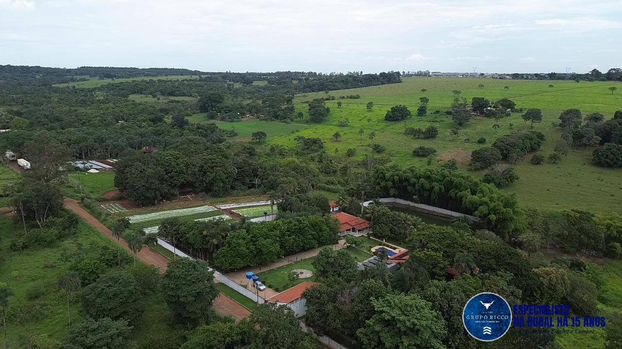 Terreno à venda, 5000m² - Foto 3