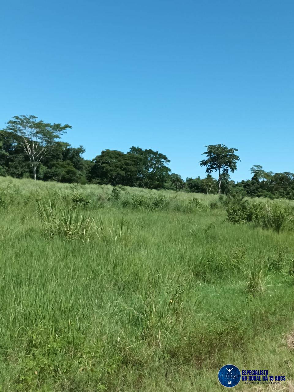 Terreno à venda, 200m² - Foto 3