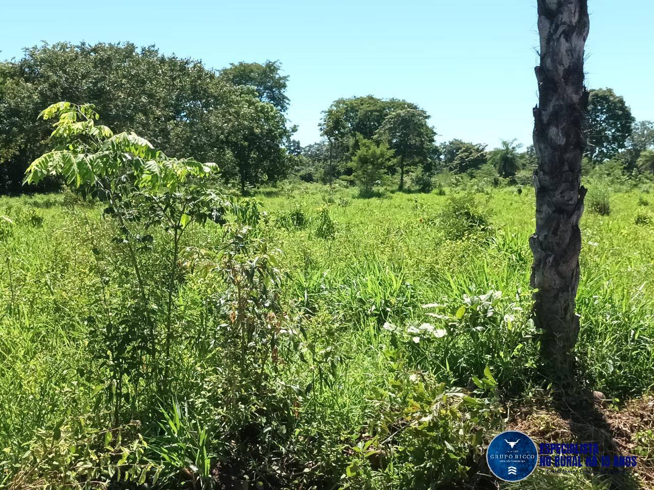 Terreno à venda, 200m² - Foto 5