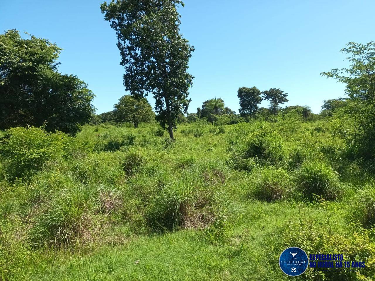 Terreno à venda, 200m² - Foto 1