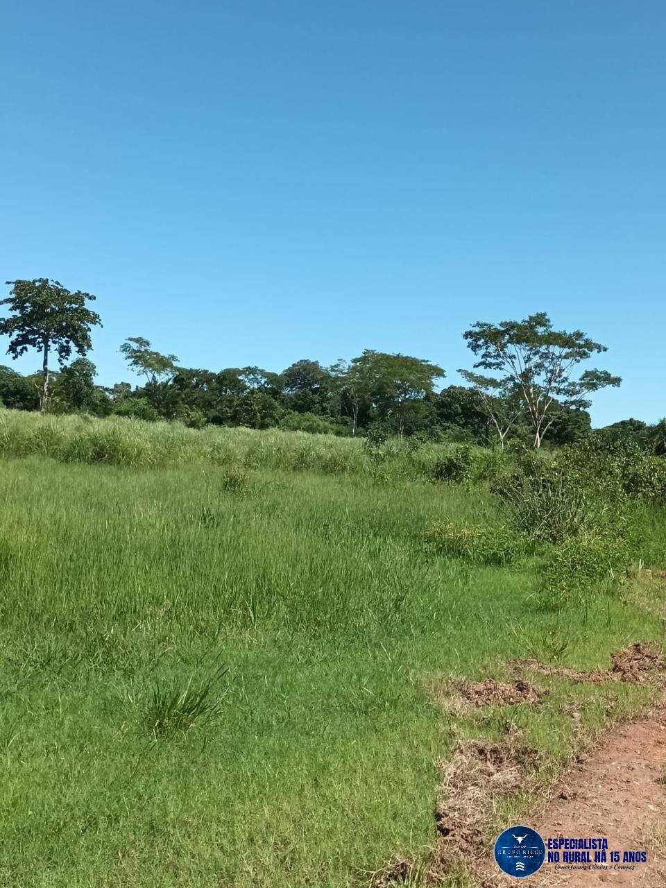 Terreno à venda, 200m² - Foto 7